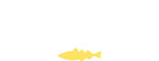 製品情報