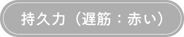 持久力（遅筋：赤い）