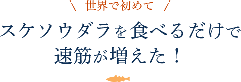 最新の研究結果をご紹介 おさかなのミンチ ニッスイ