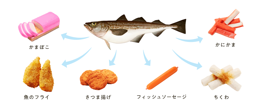 スケソウダラでできている製品：かまぼこ、魚のフライ、さつま揚げ、フィッシュソーセージ、ちくわ、かにかま