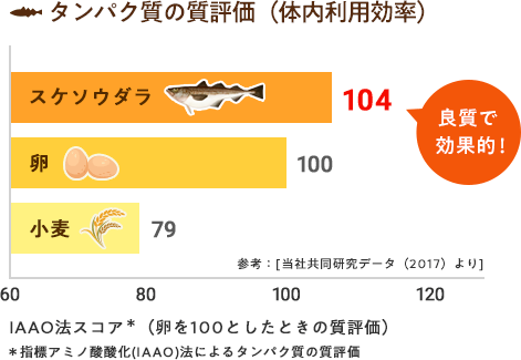 タンパク質の質評価(体内利用効率)