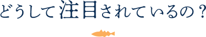 どうして注目されているの?