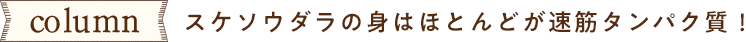 column スケソウダラの身はほとんどが速筋タンパク質！