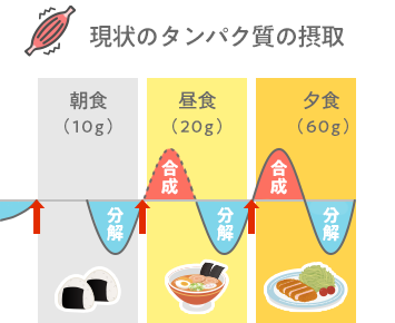 現状のタンパク質の摂取